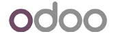 Odoo ERP integration partner